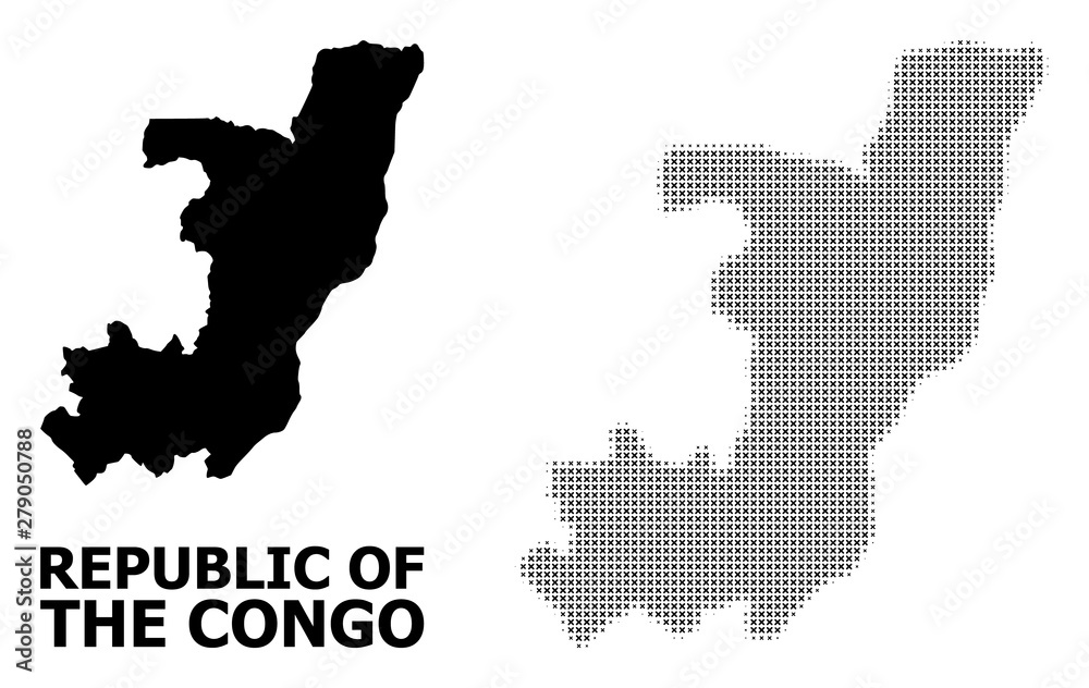 Obraz premium Vector Halftone Mosaic and Solid Map of Republic of the Congo
