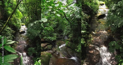 Vertical video of Stream water flowing through summer forest in the mountain at Ya An Bifengxia Sichuan China nature landscape background photo