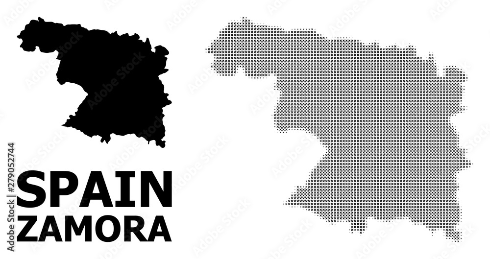 Vector Halftone Pattern and Solid Map of Zamora Province