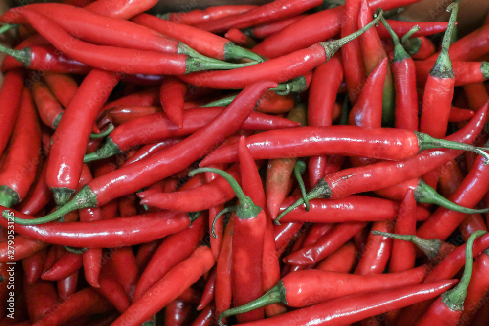 Close-up of fresh red chili that sale in Thailand's Food Market.