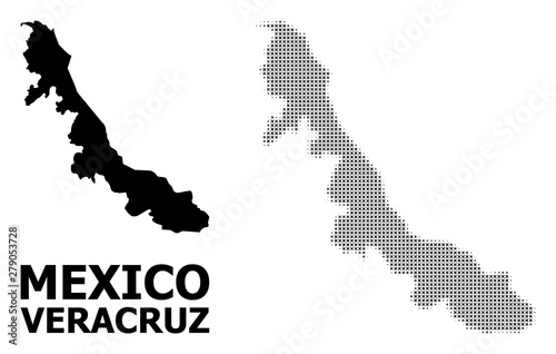 Vector Halftone Pattern and Solid Map of Veracruz State