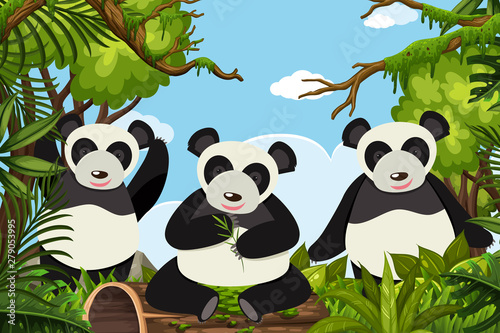 Fototapeta Naklejka Na Ścianę i Meble -  Pandas in jungle scene