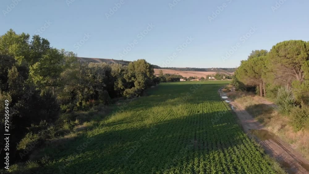 aerial view realized with drone of cultivated fields in the sunset, you can see all the flowering and green sowing
vista aerea realizada con drone de campos de cultivo en el atardecer aerial view realized with drone of cultivated fields in the sunset, you can see all the flowering and green sowing
vista aerea realizada con drone de campos de cultivo en el atardecer