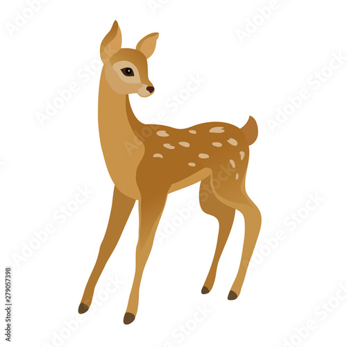 Fototapeta Vector drawing of a cute young deer on a white background