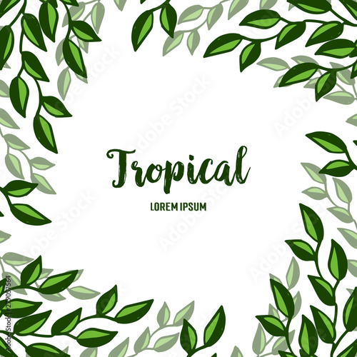 Element template tropical  cute leaf floral frame. Vector