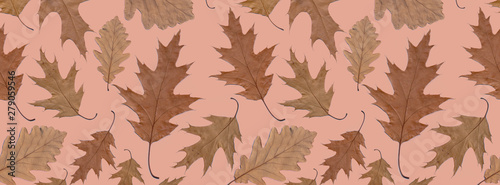 banner background autumn pattern