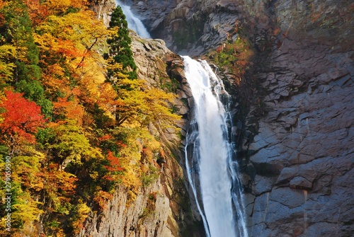 Autumn Leaves at Shomyo Falls, Toyama, Japan
