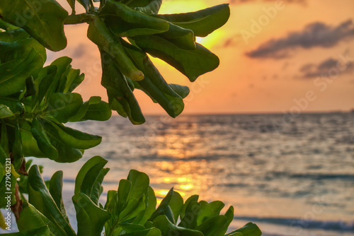 Fototapeta Naklejka Na Ścianę i Meble -  Dieses einzigartige Bild zeigt den gigantischen Sonnenuntergang auf den Malediven. eineinzig artiges Farbschauspiel wie der Himmel sich Orange färbt