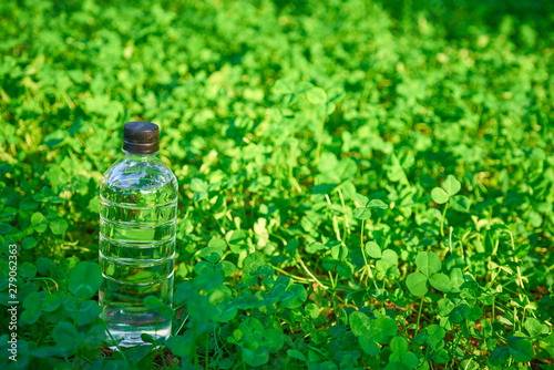 緑の植物に囲まれた、水の入ったプラスチックボトル。環境問題、健康、スポーツを想起させる画像。