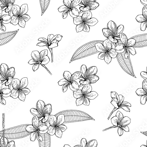 Pattern of flowers and leaves of plumeria