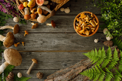 Mushrooms on old wooden background. Card on autumn or summertime. Forest harvest. Boletus, chanterelles, leaves, berries. Flat lay.