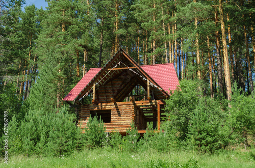 unfinished house in the summer forest © DmitryDolgikh