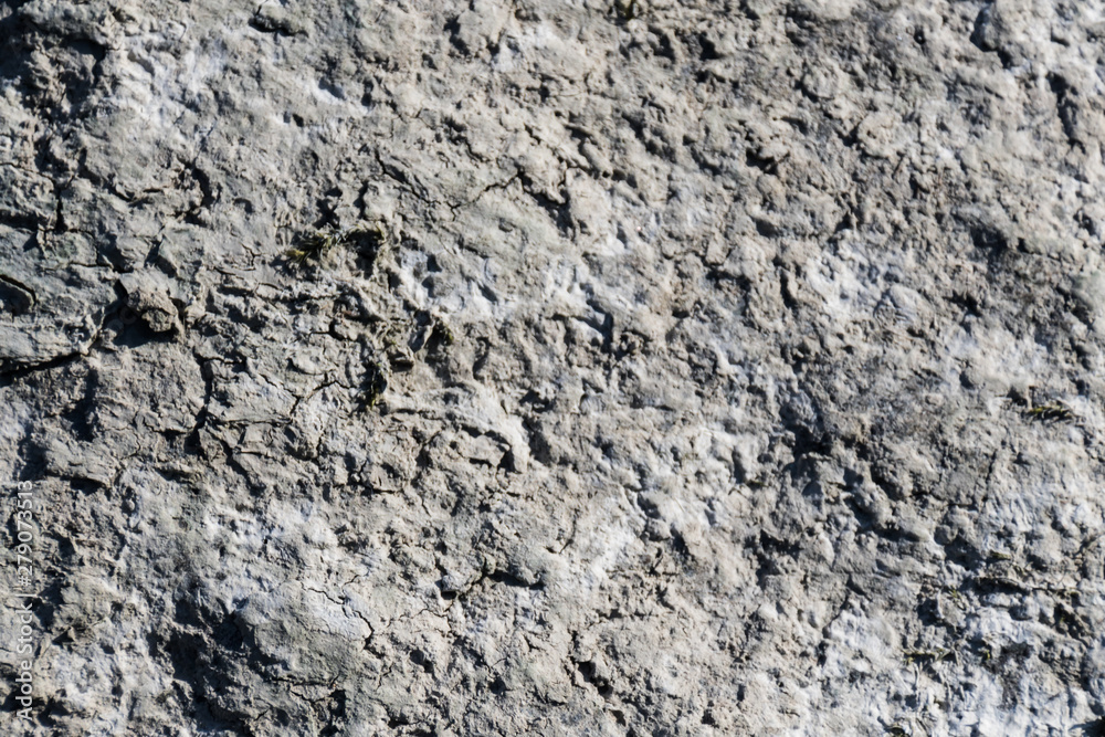 Stone surface texture with moss Stone surface texture with moss