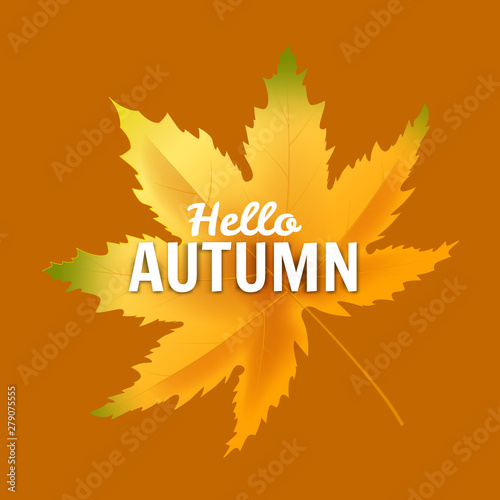 Banner Hello Autumn leaf template background.