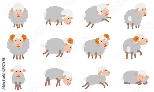 Sheep icons set. Flat set of sheep vector icons for web design