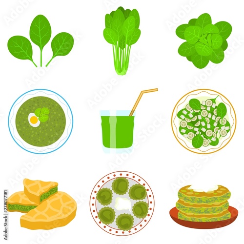 Spinach icons set. Flat set of spinach vector icons for web design