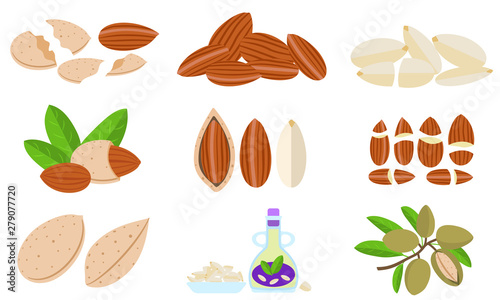 Almond icons set. Flat set of almond vector icons for web design