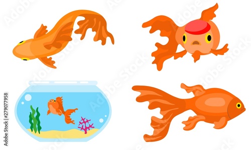 Goldfish icons set. Flat set of goldfish vector icons for web design