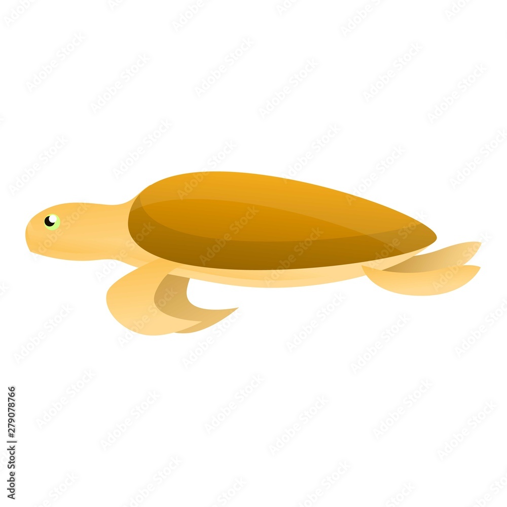 Old turtle icon. Cartoon of old turtle vector icon for web design isolated on white background