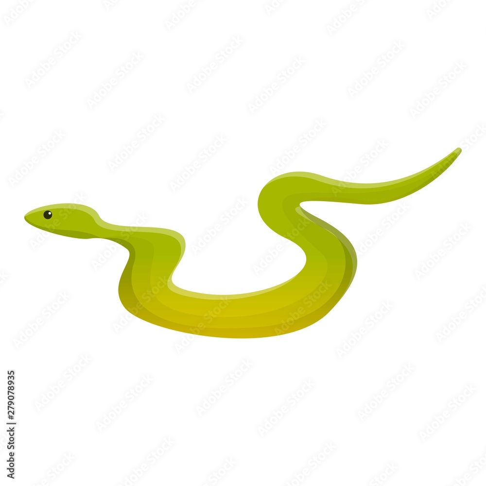 Jungle snake icon. Cartoon of jungle snake vector icon for web design isolated on white background Jungle snake icon. Cartoon of jungle snake vector icon for web design isolated on white background