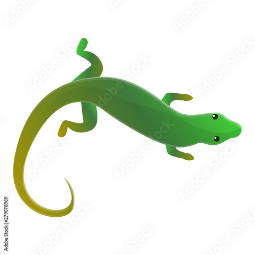 Top view lizard icon. Cartoon of top view lizard vector icon for web design isolated on white background