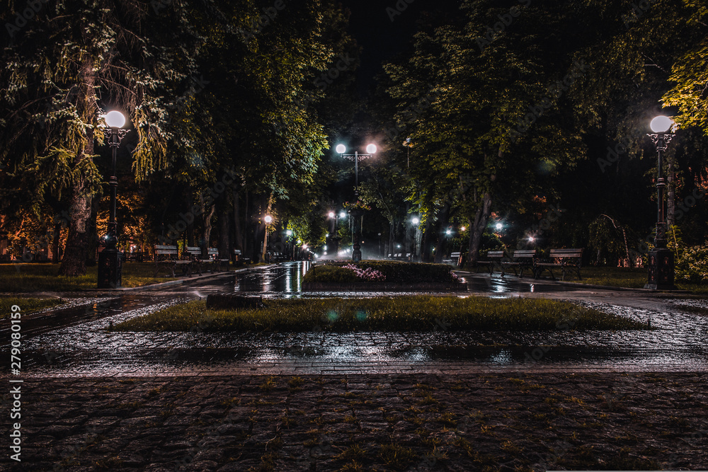  A night in the  park. Street lights lit the wet footpath. The night park is lighting dimly.