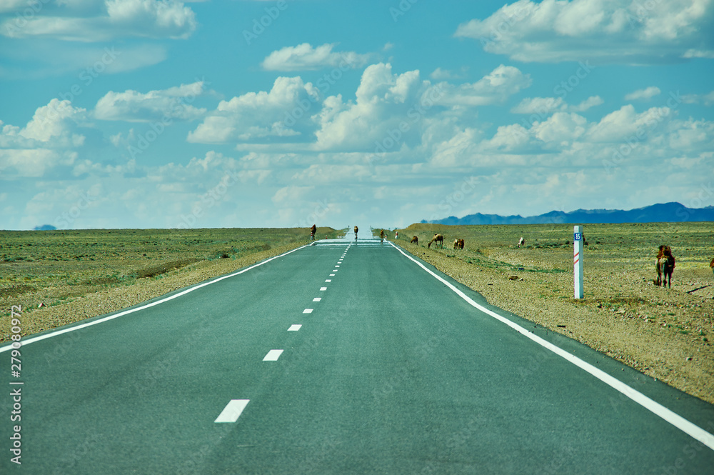 Fototapeta premium Road in Gobi Desert