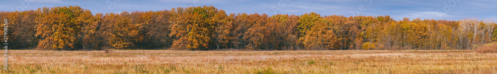Panorama of the yellow autumn forest in front of the meadow Panorama of the yellow autumn forest in front of the meadow