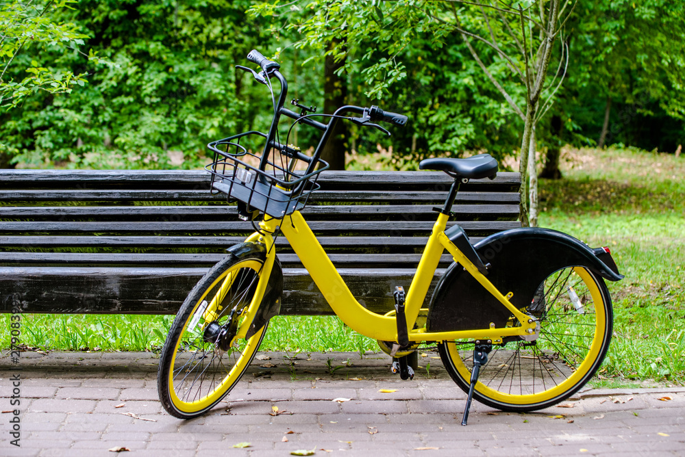 Bike for Bicycle-sharing is in the city Park