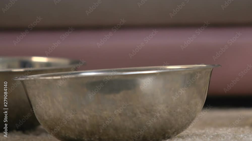 Thirsty dog drinking water from bowl closeup, pet feeding, animal care, labrador Thirsty dog drinking water from bowl closeup, pet feeding, animal care, labrador