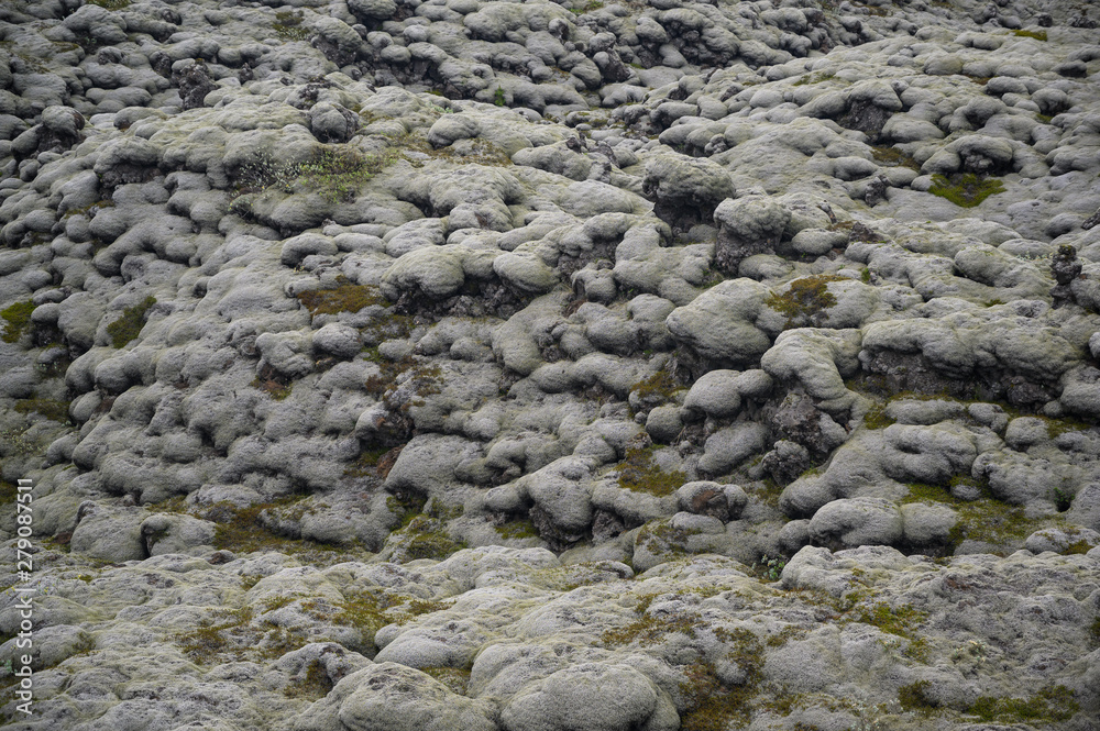 Closeup view of icelandic lava field under moss Closeup view of icelandic lava field under moss
