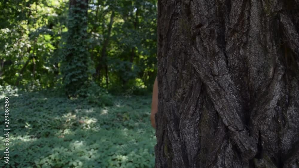 Young girl peeking from behind a tree in nature. Young girl peeking from behind a tree in nature.