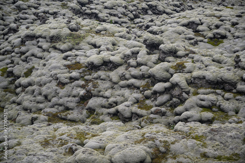 Closeup view of icelandic lava field under moss