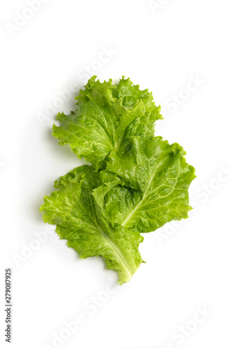 Fresh green leafs lettuce close-up isolated on white background