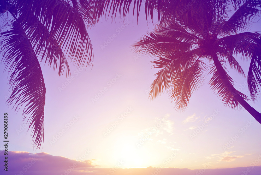 Coconut tree at tropical coast of Mauritius island at sunset. Vintage Tones.