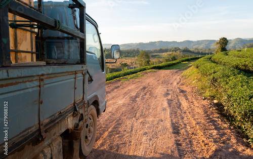 Old vintage blue truck driving to green tea farm for plant product transportation on the red dirt road, countryside landscape with agriculture field vehicle