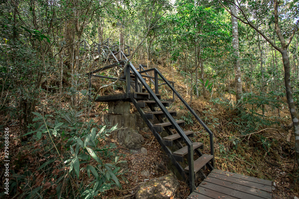 Forest, Woodland, Bamboo - Plant, Concrete, Day Forest, Woodland, Bamboo - Plant, Concrete, Day