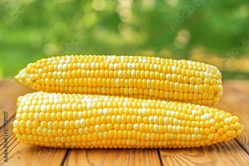 raw golden maize on wooden background