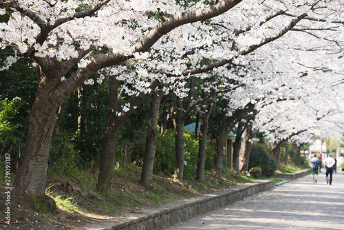 靱公園