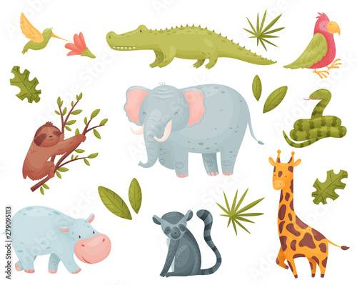Set of tropical animals. Vector illustration on white background.