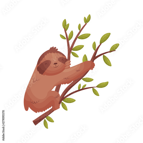 Brown sloth on a branch. Vector illustration on white background.