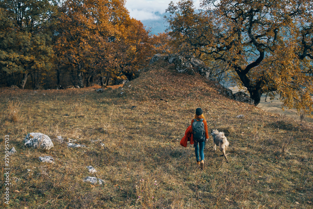 Naklejka premium hiking in the forest