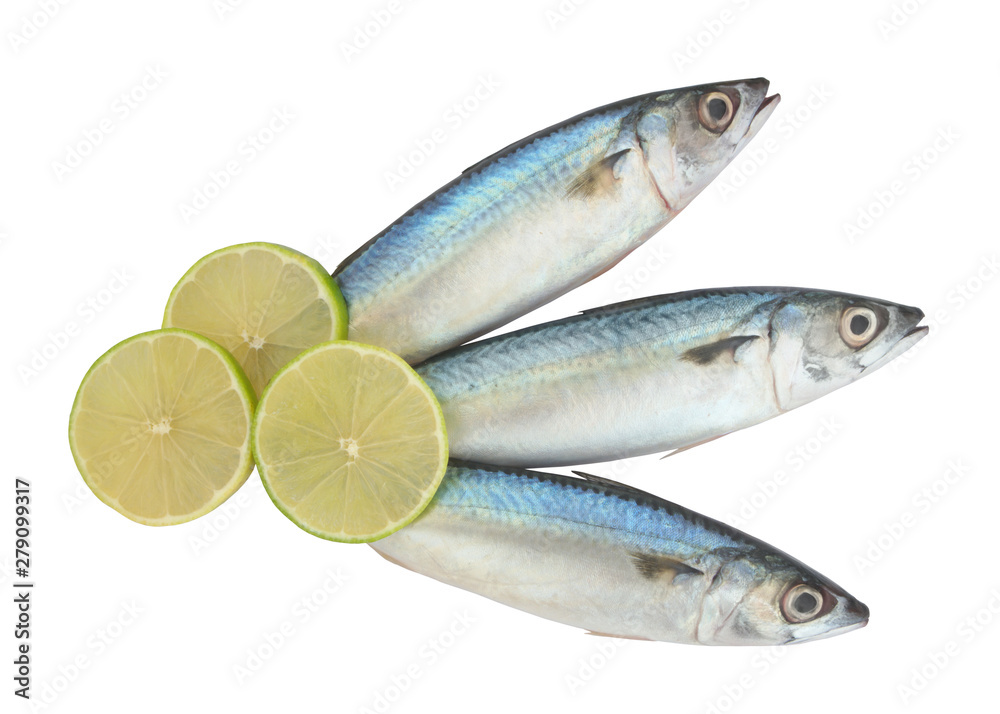 Raw mackerel fish with lime slices isolated on white background