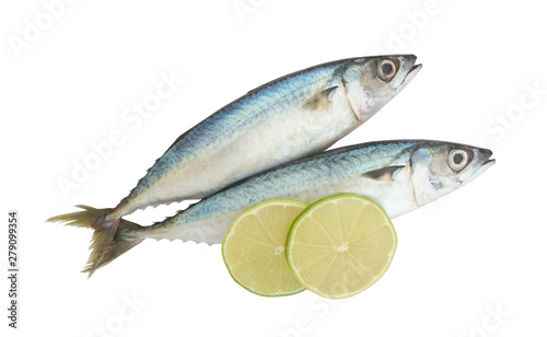 Fresh mackerel fish with lime slices isolated on white