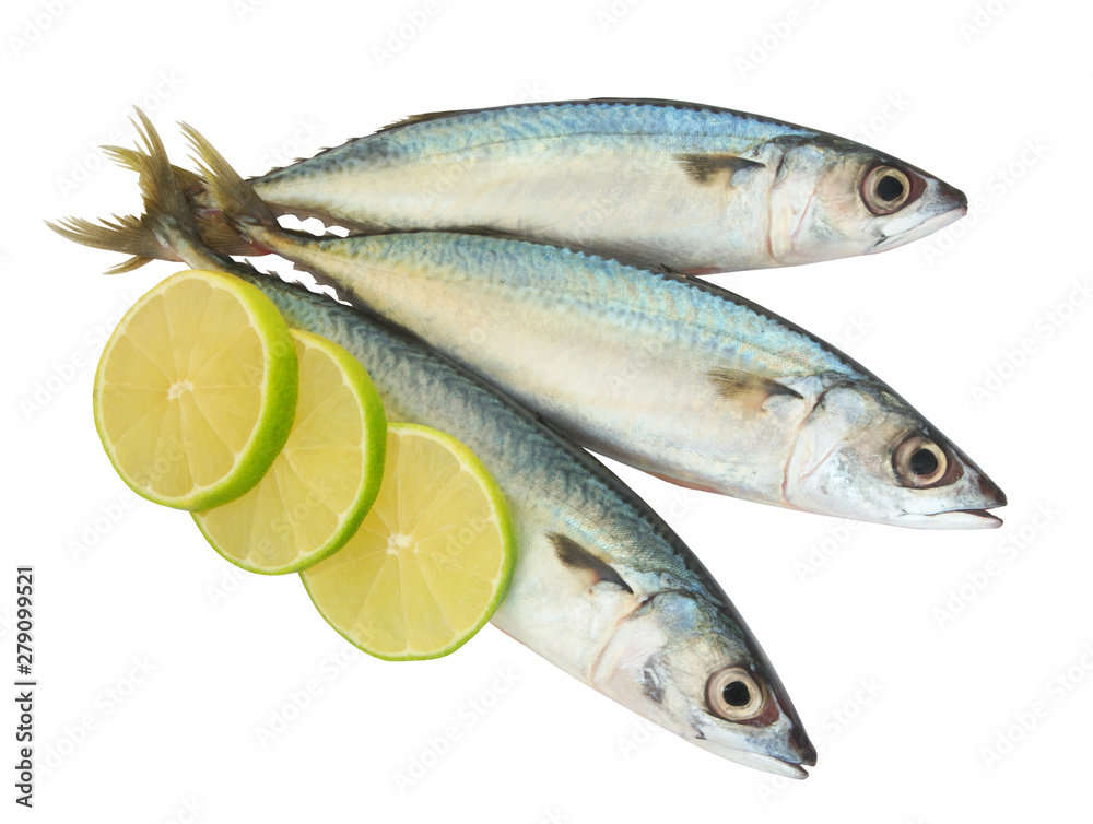 Raw mackerel fish with lime slices isolated on white background