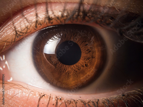 Human eye close up