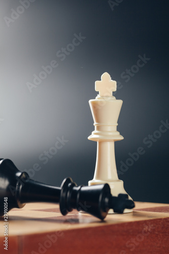 Chess business concept, leader and success. photo