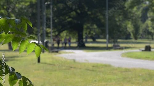 passeggiata nel parco pubblico con amici in una bella giornata d'estate photo