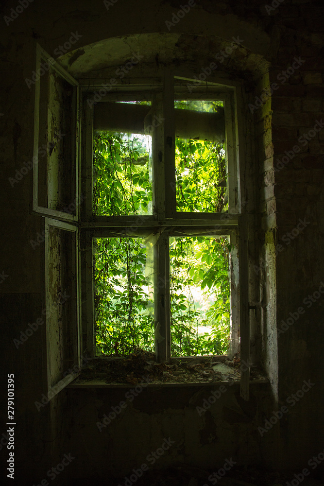 Fenster Fenster