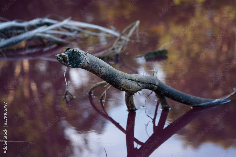 Old wood in pink water, pink lake. Melbourne, Australia. Old wood in pink water, pink lake. Melbourne, Australia.